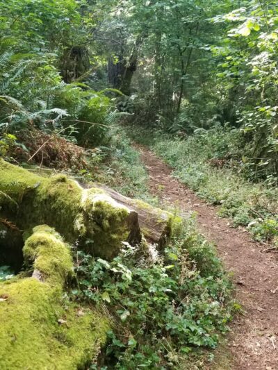 Jensen Point Park - Vashon, WA