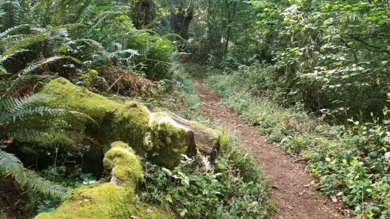 Jensen Point Park - Vashon, WA