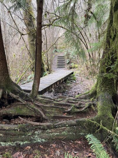 Judd Creek Loop Trail - Vashon, WA
