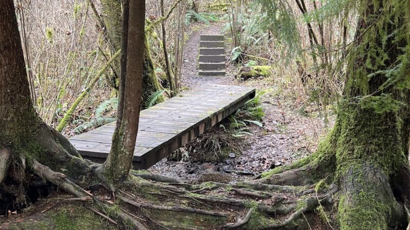 Judd Creek Loop Trail - Vashon, WA