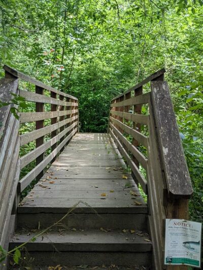 Judd Creek Loop Trail - Vashon, WA