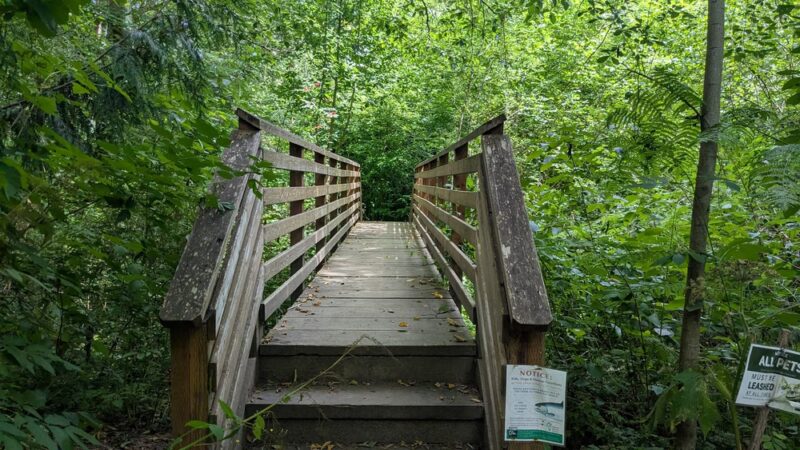 Judd Creek Loop Trail - Vashon, WA