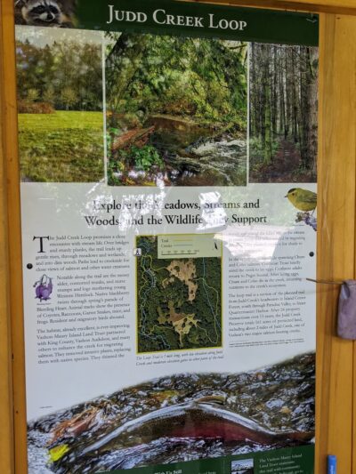 Judd Creek Loop Trail - Vashon, WA