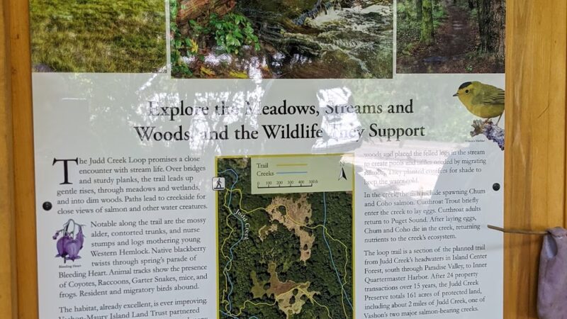 Judd Creek Loop Trail - Vashon, WA