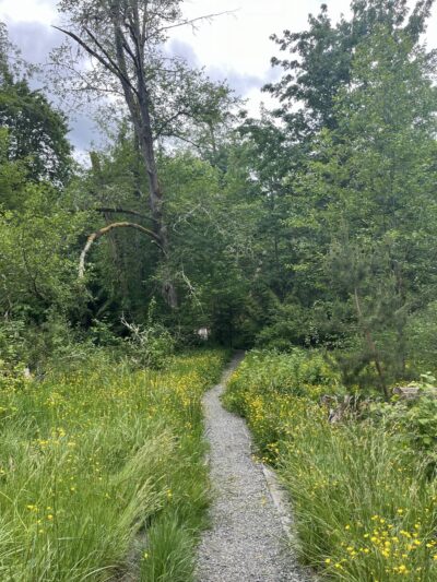 Judd Creek Preserve - Vashon, WA