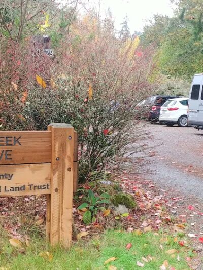 Judd Creek Preserve - Vashon, WA