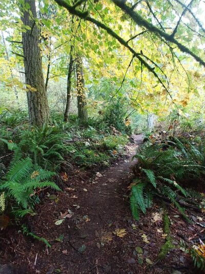 Judd Creek Preserve - Vashon, WA