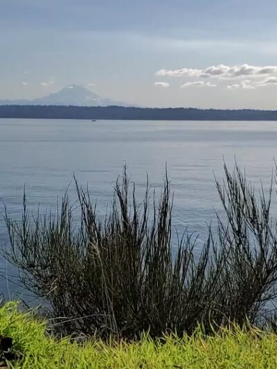 Maury Island Marine Park - Vashon, WA