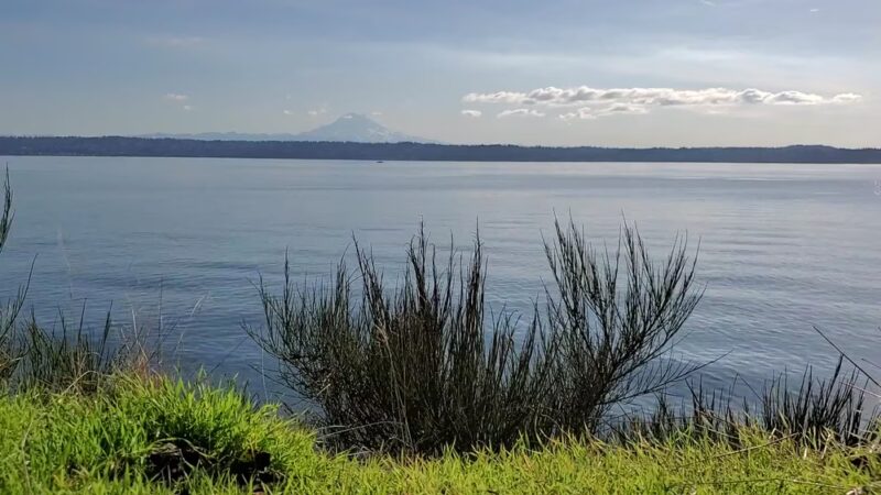 Maury Island Marine Park - Vashon, WA