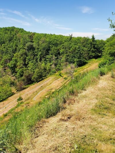Maury Island Marine Park - Vashon, WA