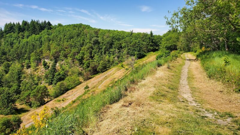 Maury Island Marine Park - Vashon, WA