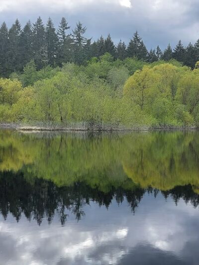 Mukai Pond - Vashon, WA