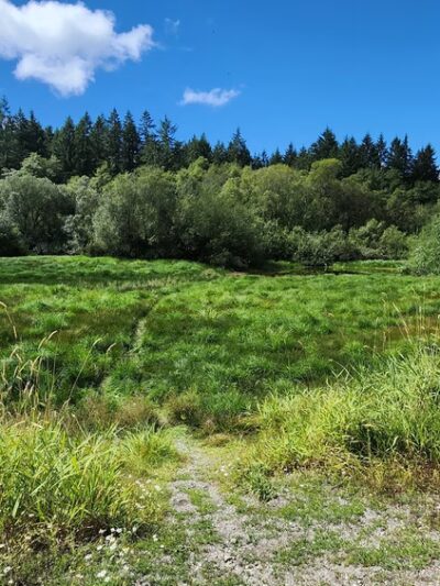 Mukai Pond - Vashon, WA