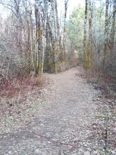 Mukai Pond - Vashon, WA