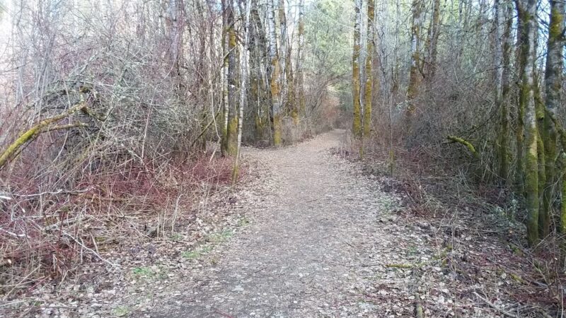 Mukai Pond - Vashon, WA