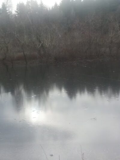 Mukai Pond - Vashon, WA
