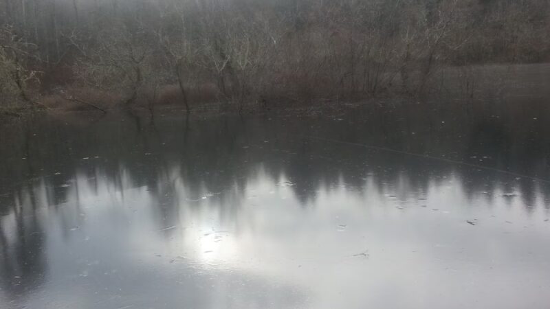 Mukai Pond - Vashon, WA