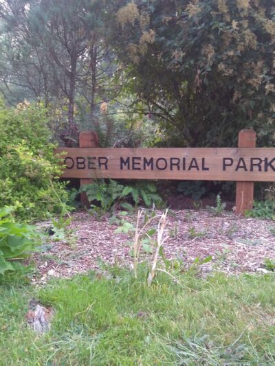 Ober Park - Vashon, WA