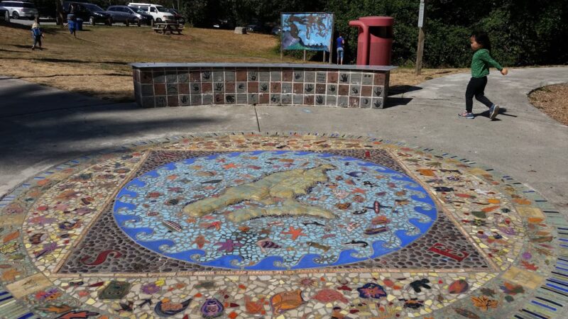 Ober Park - Vashon, WA