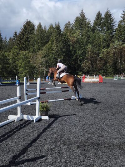 Paradise Ridge Equestrian Park - Vashon, WA