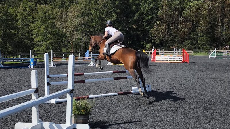 Paradise Ridge Equestrian Park - Vashon, WA