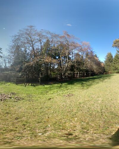 Paradise Ridge Equestrian Park - Vashon, WA