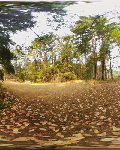 Paradise Ridge Equestrian Park - Vashon, WA