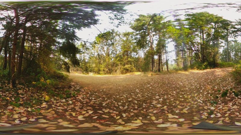 Paradise Ridge Equestrian Park - Vashon, WA