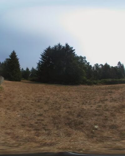 Paradise Ridge Equestrian Park - Vashon, WA