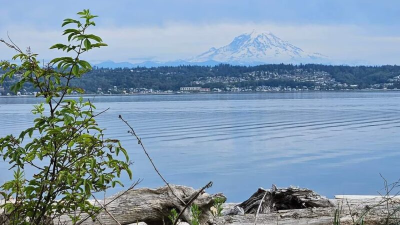 Point Robinson Park - Vashon, WA