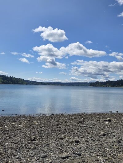 Raab's Lagoon Natural Area - Vashon, WA