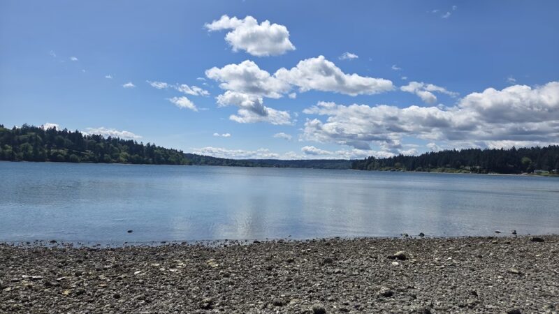Raab's Lagoon Natural Area - Vashon, WA