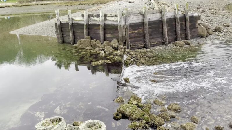 Raab's Lagoon Natural Area - Vashon, WA