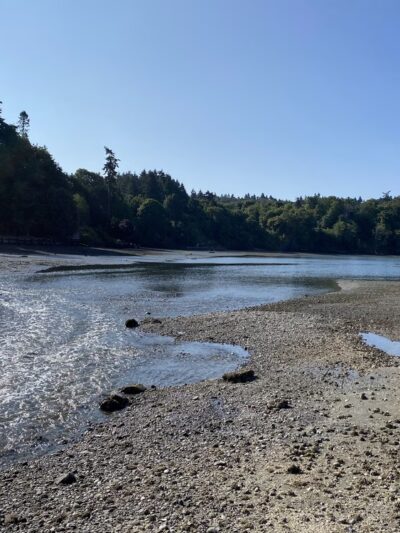 Raab's Lagoon Natural Area - Vashon, WA