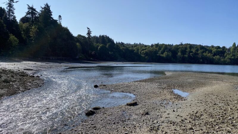 Raab's Lagoon Natural Area - Vashon, WA