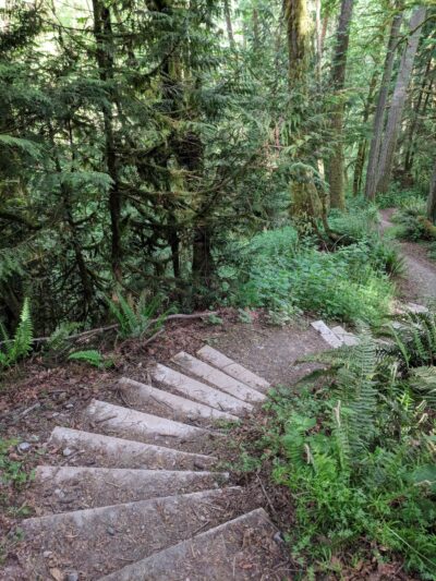 Shinglemill Creek Natural Area - Vashon, WA
