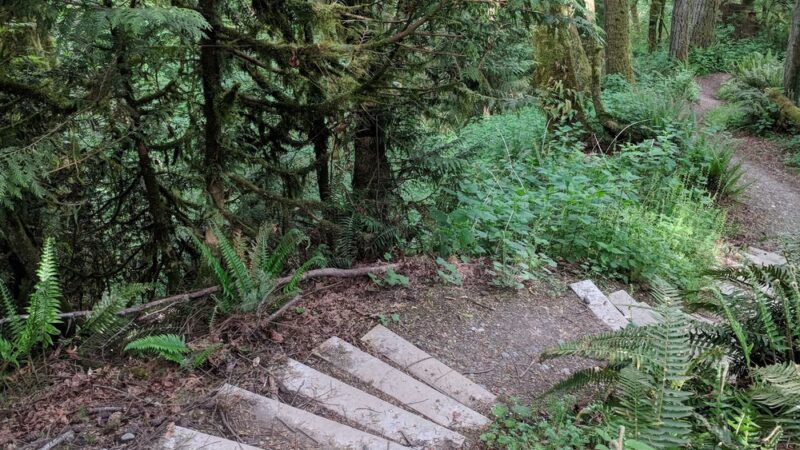 Shinglemill Creek Natural Area - Vashon, WA