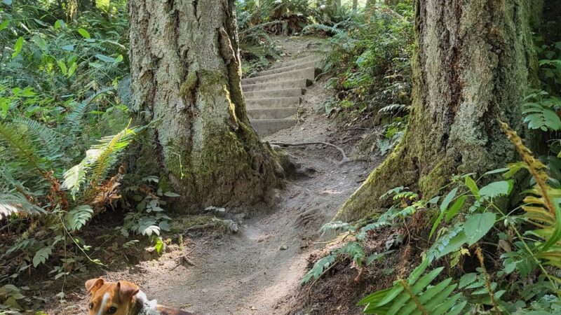Shinglemill creek trailhead - Vashon, WA