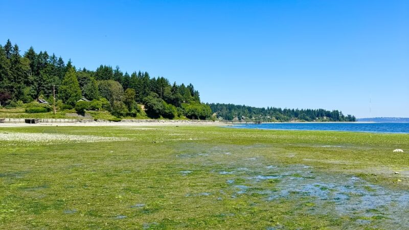 Tramp Harbor - Vashon, WA