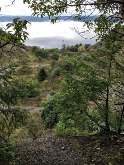 Vashon Gravel Pit - Vashon, WA