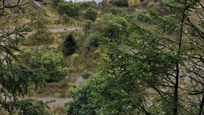 Vashon Gravel Pit - Vashon, WA