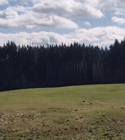 Wax Orchard Park - Vashon, WA