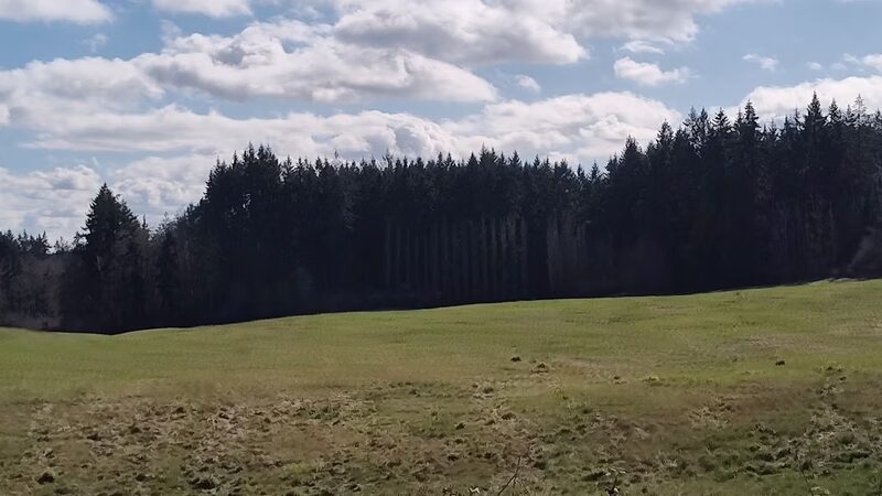 Wax Orchard Park - Vashon, WA