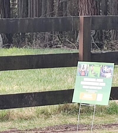 Wax Orchard Park - Vashon, WA