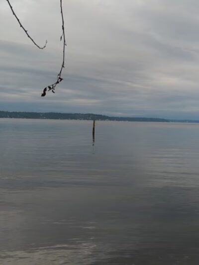 Wingehaven - Vashon, WA