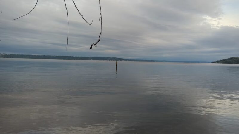 Wingehaven - Vashon, WA