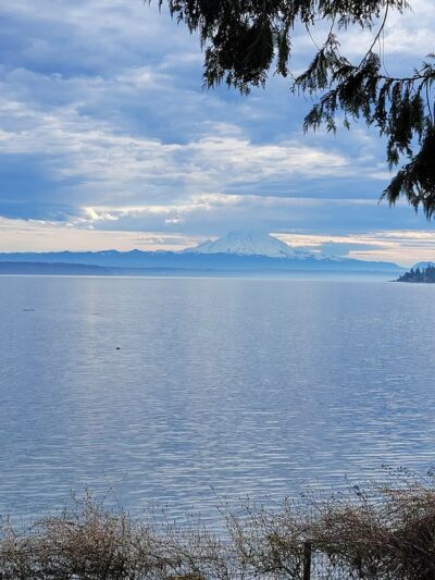 Wingehaven - Vashon, WA