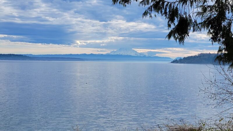Wingehaven - Vashon, WA