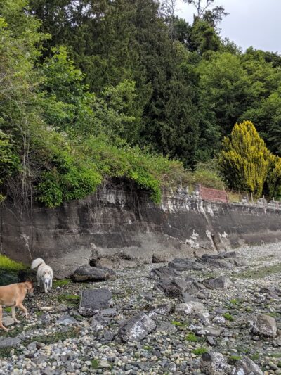 Wingehaven - Vashon, WA