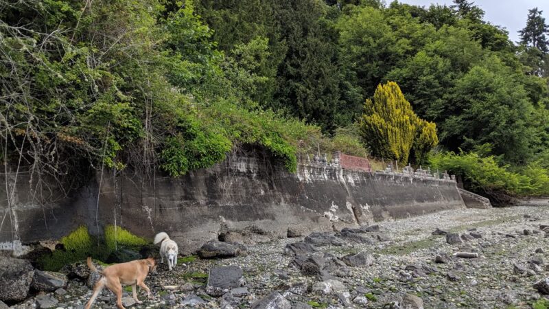 Wingehaven - Vashon, WA
